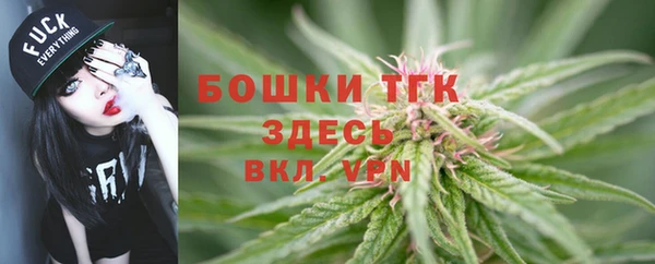 ПСИЛОЦИБИНОВЫЕ ГРИБЫ Кукмор