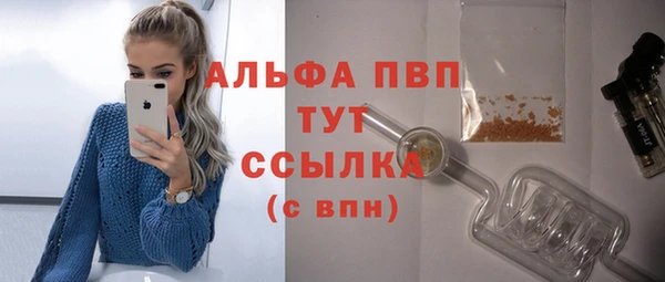 ПСИЛОЦИБИНОВЫЕ ГРИБЫ Кукмор