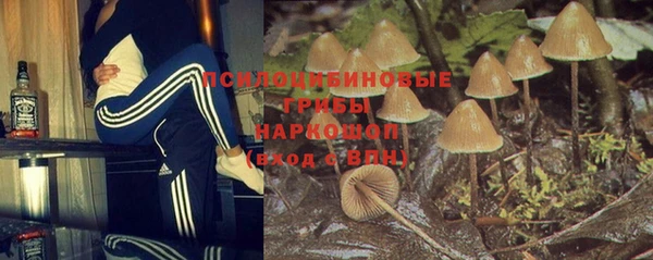 мяу мяу мука Аркадак
