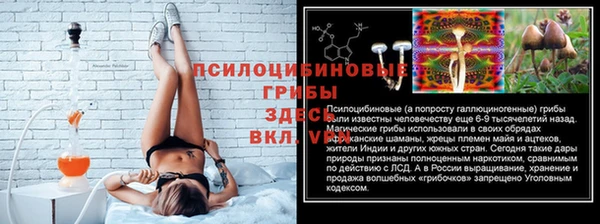 МДПВ Кулебаки