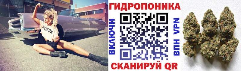 МАРИХУАНА сатива  Азнакаево 